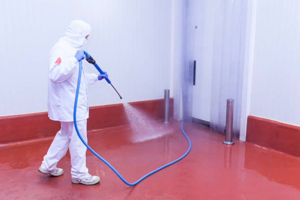 Best Residential Pressure Washing in Washburn, IL